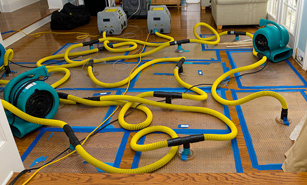 Professional Burst Pipe Water Damage technician working in Drexel Hill, PA